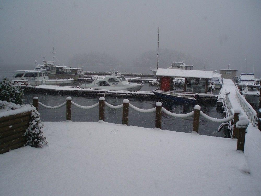 Backeddy Resort And Marina Egmont Exterior foto